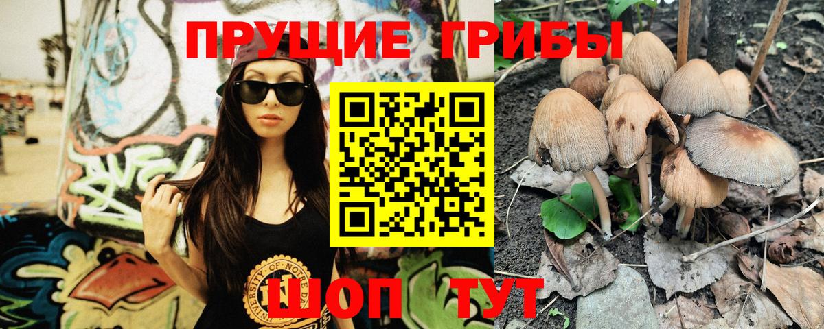 Псилоцибиновые грибы мицелий Серпухов