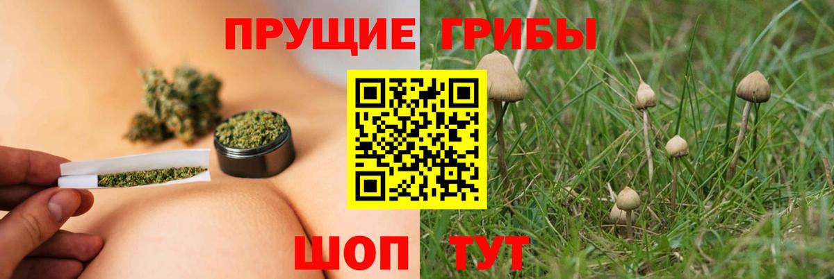Галлюциногенные грибы Magic Shrooms  наркошоп  Галлюциногенные грибы Psilocybine cubensis  Серпухов  Вход с VPN 